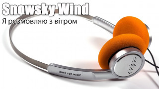 Огляд навушників Snowsky Wind — ціна, яку важко перебити