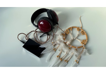 Огляд навушників FiiO FT13. Розкіш червоного дерева