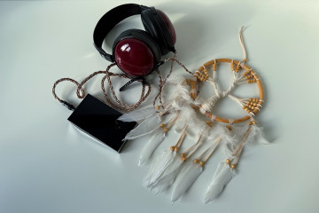 Огляд навушників FiiO FT13. Розкіш червоного дерева