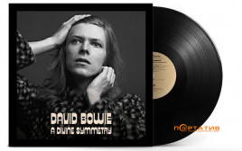 Dawid Bowie - A Divine Symmetry [LP]