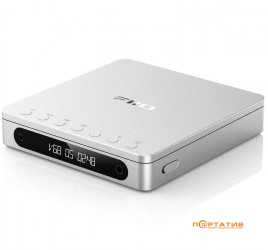 FiiO DM13 Silver