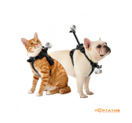 Insta360 Pet Harness Mount Size M (CINSBAVW)
