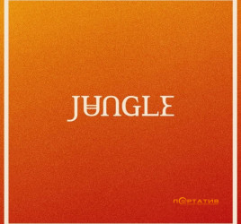 Jungle - Volcano [LP]