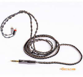 Kinera Leyding (2-pin)