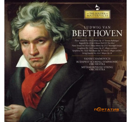 Ludwig Van Beethoven - The Golden Masterpieces [LP]