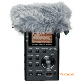 Tascam WS11