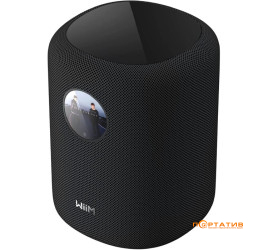 WiiM Sound Black