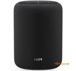 WiiM Sound Lite Black