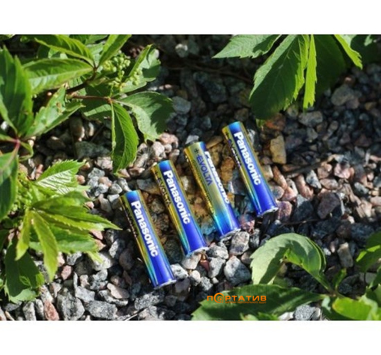 Батарейка Panasonic EVOLTA AAA BLI 4 ALKALINE (LR03EGE/4BP)