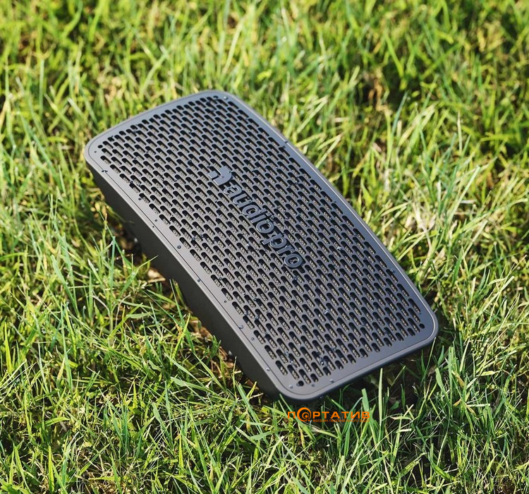 Акустика Audio Pro P5 Black