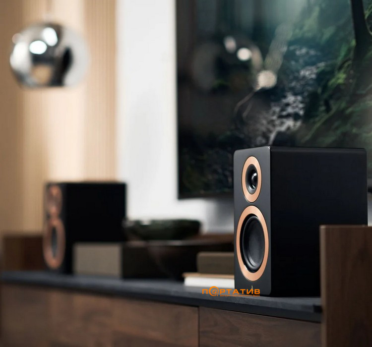 Акустическая система Argon Audio Forte A5 WiFi Black