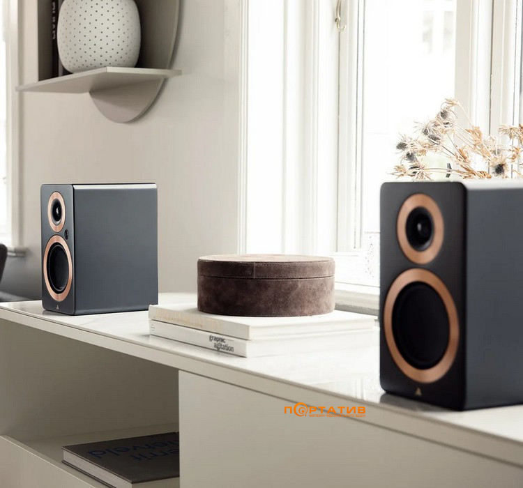 Акустическая система Argon Audio Forte A5 WiFi Black