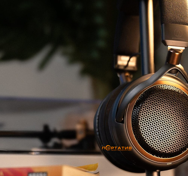 Наушники Audio-Technica ATH-AL5NC