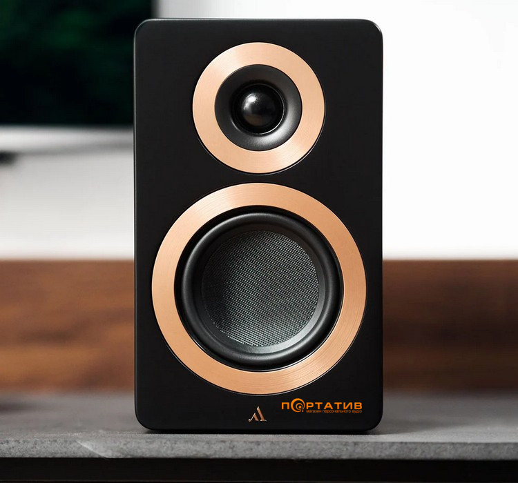 Акустическая система Argon Audio Forte A5 WiFi Black