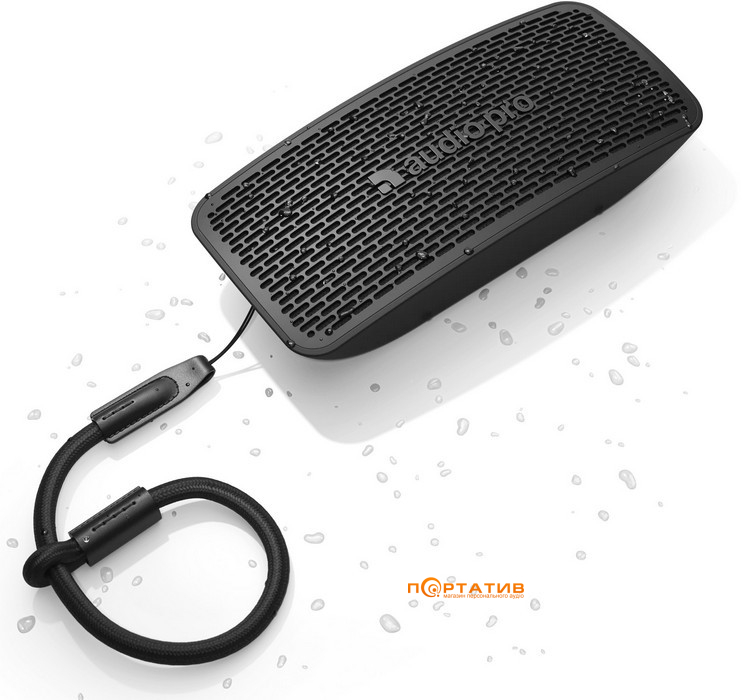 Акустика Audio Pro P5 Black