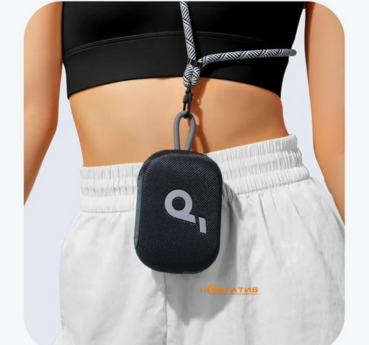 Акустика Anker SoundСore Select 4 GO Black (A31X1011)