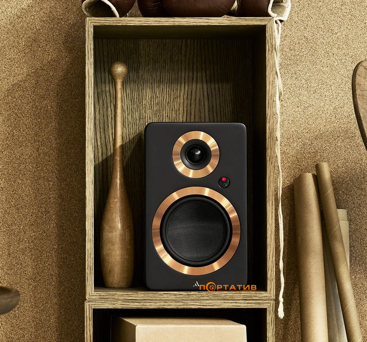 Акустическая система Argon Audio Forte A4 WiFi Black