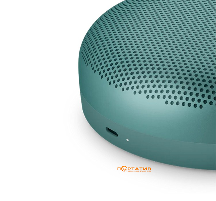 Акустика Bang & Olufsen BeoSound A1 3nd Gen Eucalyptus Green (1736009)