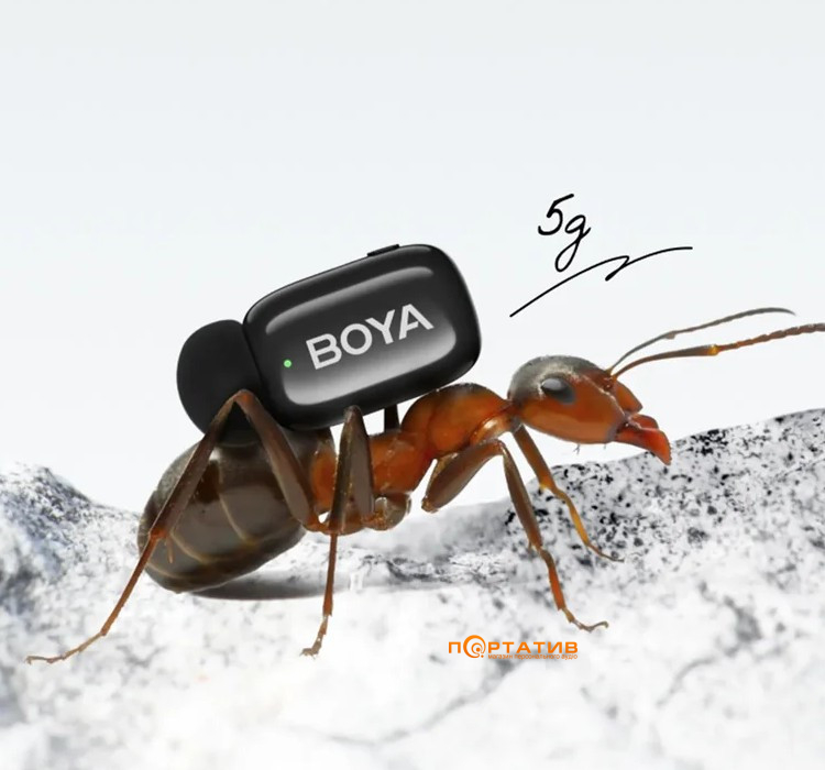 Мікрофон BOYA mini 2-04 Type-C Black