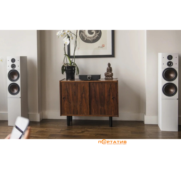 Акустика DALI Callisto 6 C Tobacco Oak