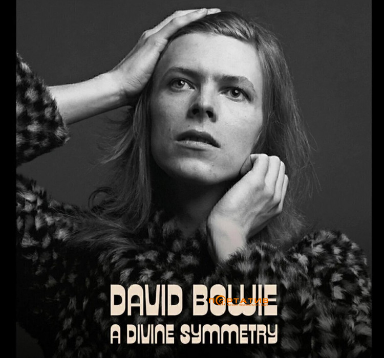 Виниловая пластинка Dawid Bowie - A Divine Symmetry [LP]