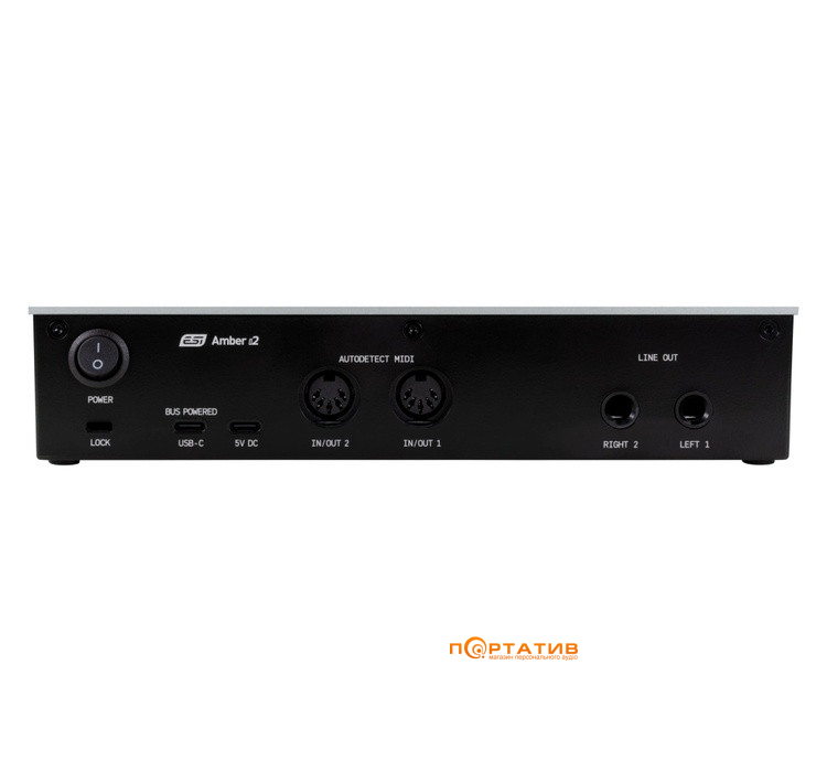 Аудиоинтерфейс ESI Amber i2