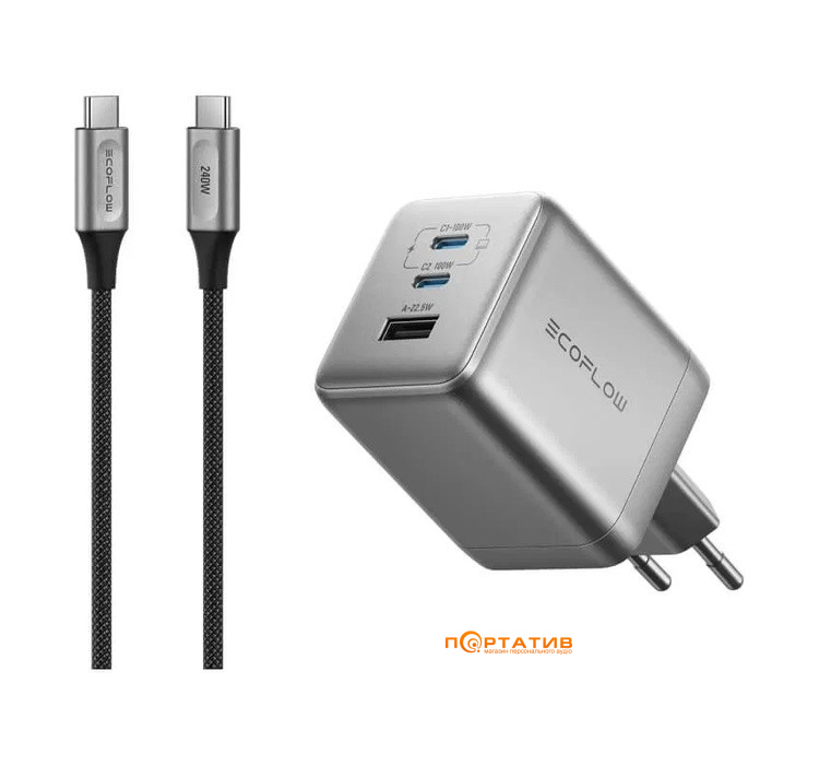 Сетевое зарядное устройство EcoFlow RAPID Pro Charger 100W (EFA-100W-GAN-CHARGER-EU)