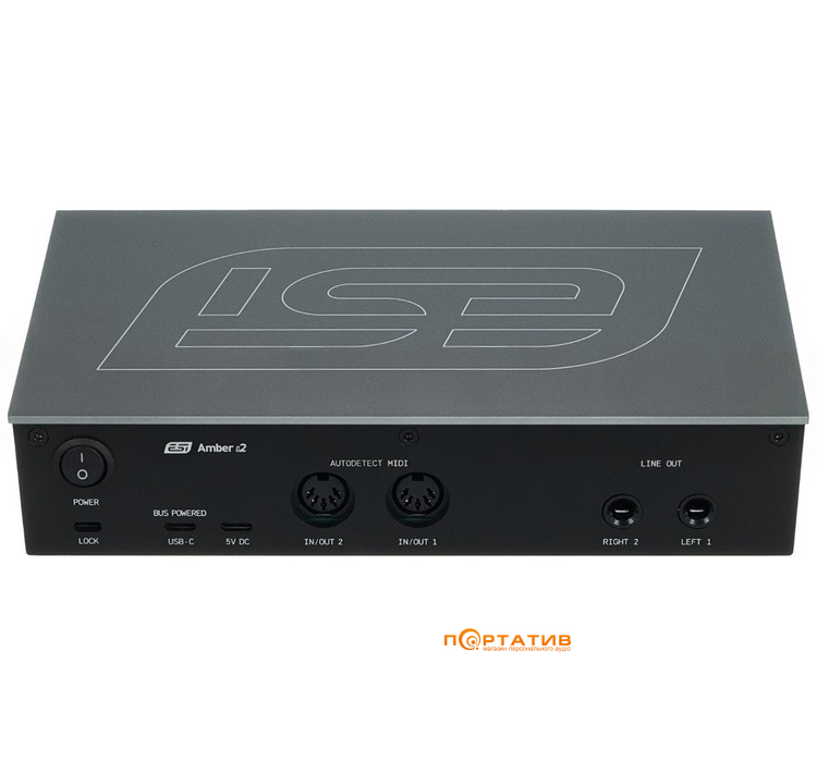 Аудиоинтерфейс ESI Amber i2