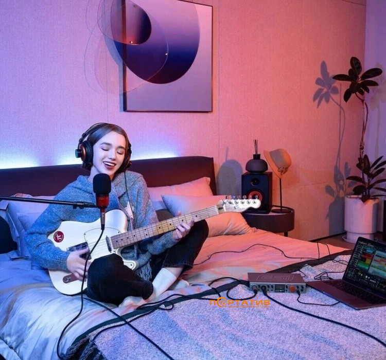 Аудиоинтерфейс ESI Amber i4