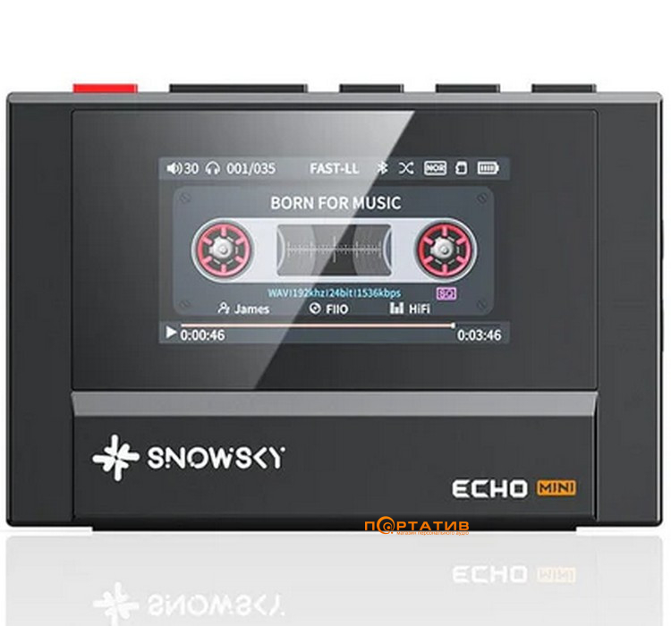 Аудиоплеер FiiO Snowsky ECHO Mini Black