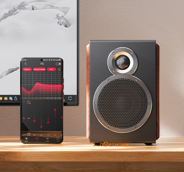 Акустика FiiO SA1 Black