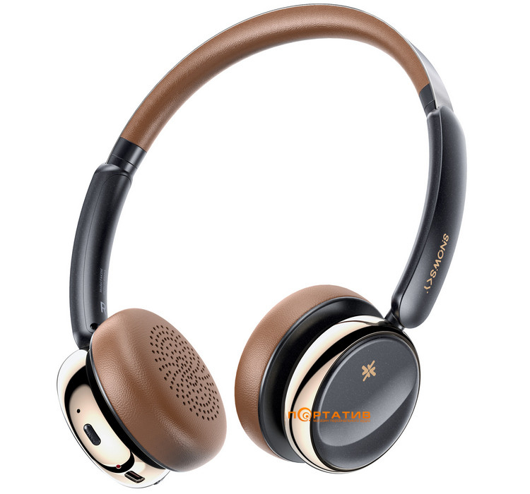 Наушники FiiO Snowsky Anytime Black