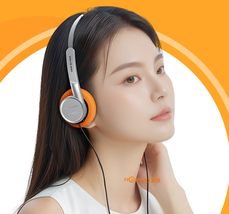 Наушники FiiO Snowsky Wind Silver