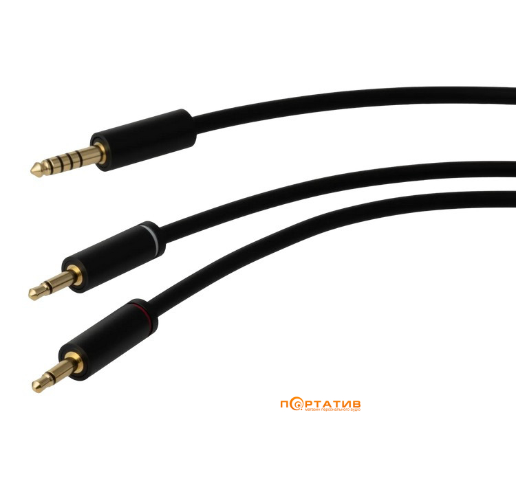 Наушники Final Audio DX3000 CL Black