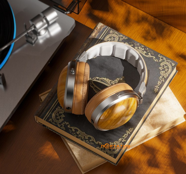 Навушники FiiO FT1 Beech Silver