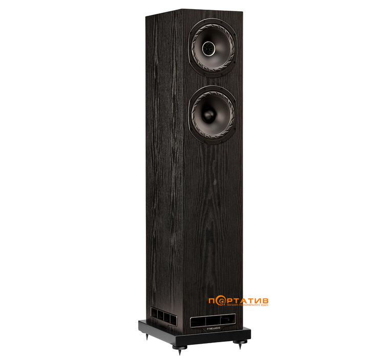 Акустична система Fyne Audio F501E Black