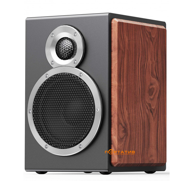 Акустика FiiO SA1 Black
