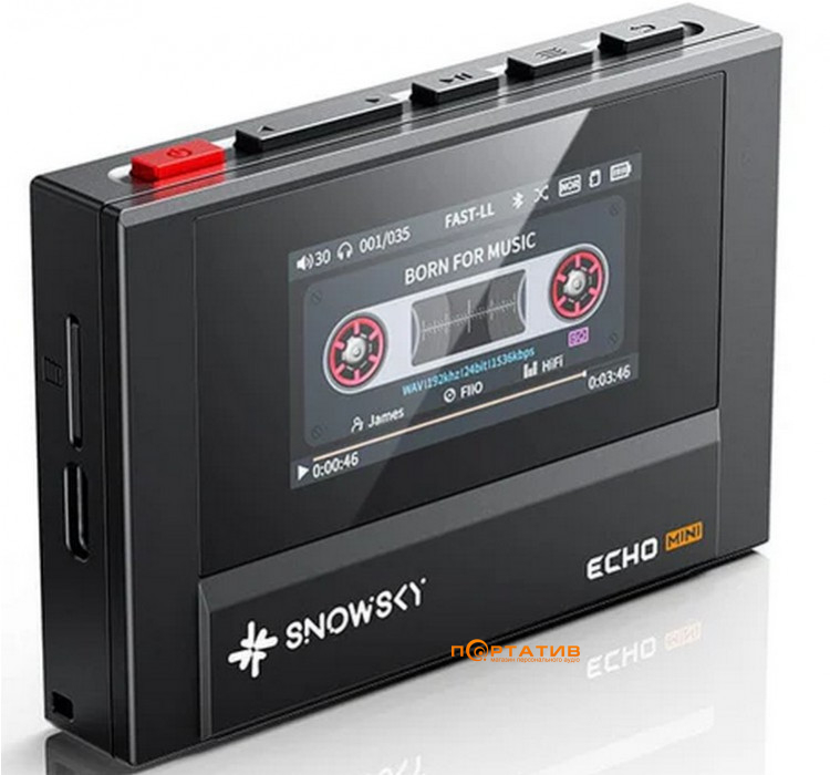 Аудиоплеер FiiO Snowsky ECHO Mini Black