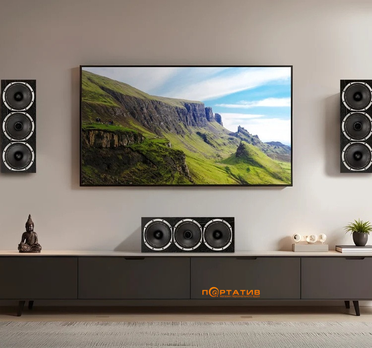 Акустична система Fyne Audio F502E LCR Black (1 шт.)