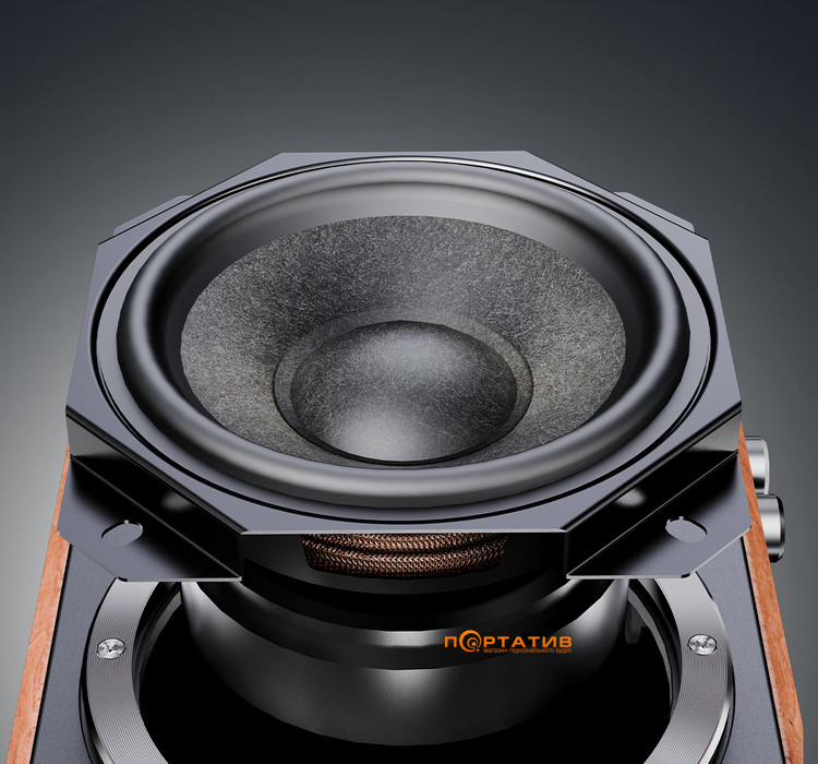 Акустика FiiO SA1 Black