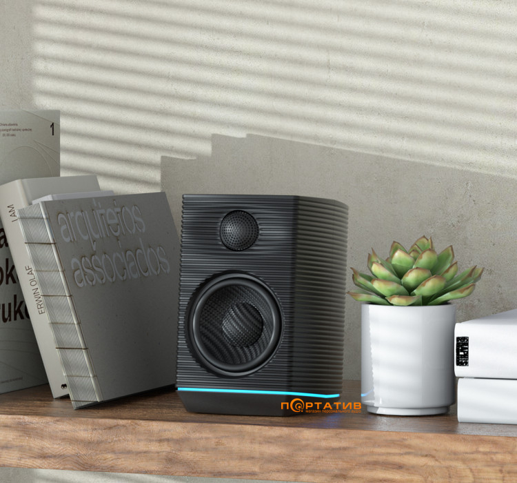 FiiO TT13 BT + FiiO SP3 BT