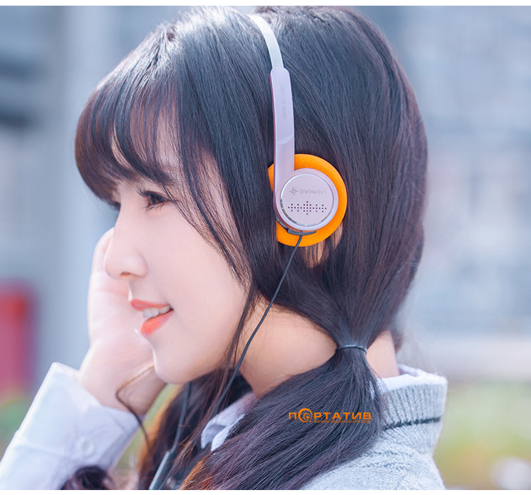 Наушники FiiO Snowsky Wind Silver