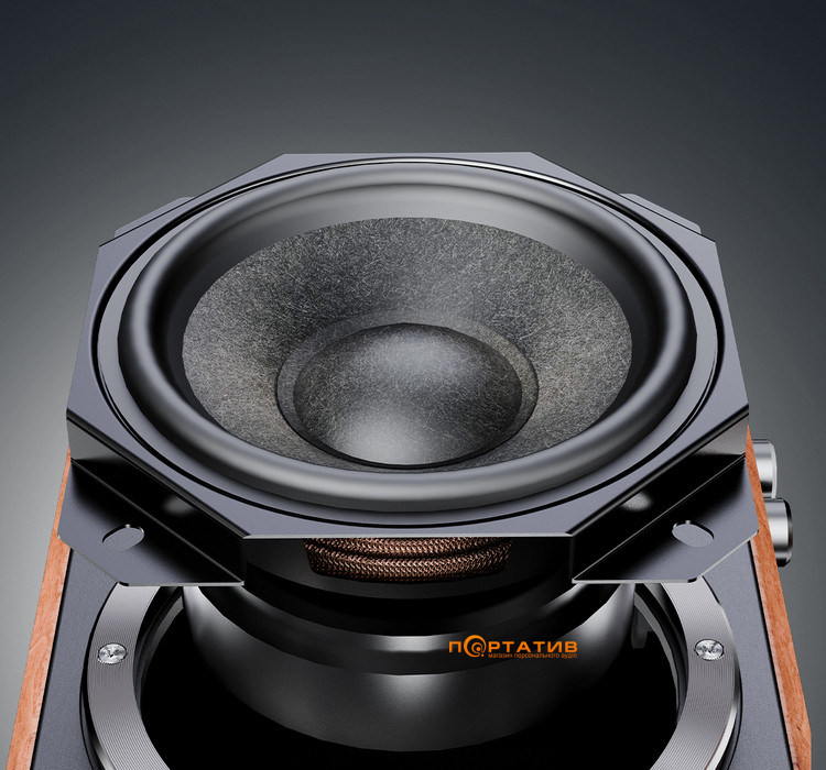 Акустика FiiO SA1 Black (no BT)