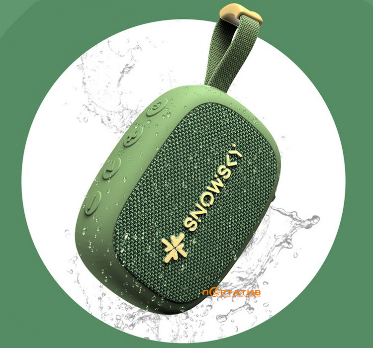 Акустика FiiO Snowsky Anywhere Olive Green