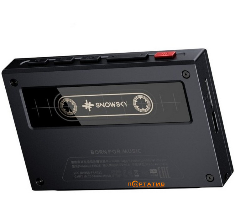 Аудиоплеер FiiO Snowsky ECHO (4Gb) Black
