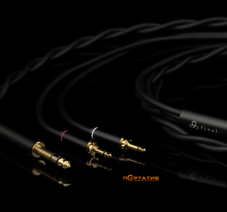 Навушники Final Audio D7000 Black
