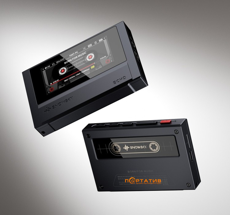 Аудиоплеер FiiO Snowsky ECHO (4Gb) Black