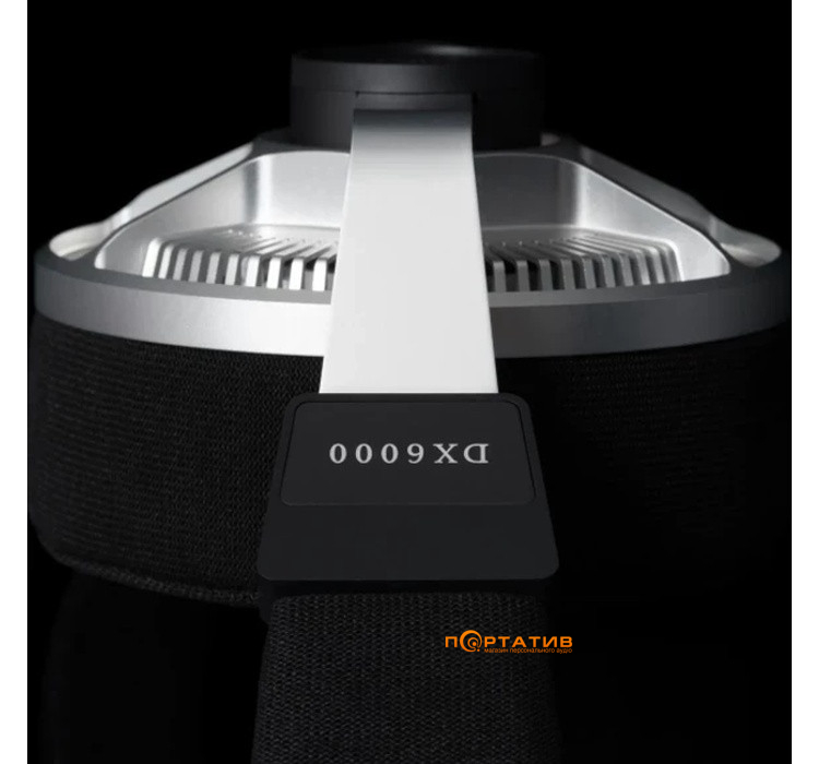 Наушники Final Audio DX6000 Silver