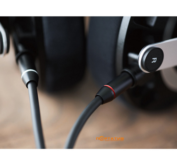 Навушники Final Audio D8000 Black