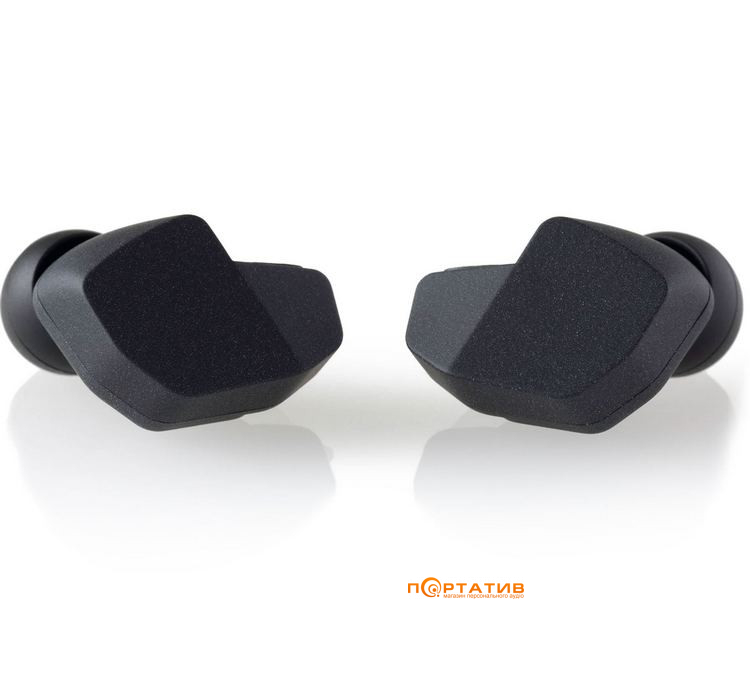 Навушники Final Audio A3000 Matte Black (90403736)